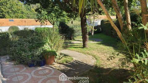 photo no. 19