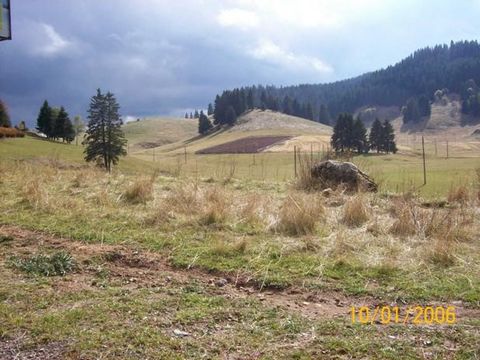 019: WIR VERKAUFEN EIN STÜCK LANDWIRTSCHAFTLICHES LAND AUF DEM ROZHEN PEAK MIT DER MÖGLICHKEIT DER KONSOLIDIERUNG AUF BIS ZU 15-20 HEKTAR. IN DIESEM GEBIET FINDET DAS NATIONALE FOLKLOREFESTIVAL 