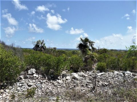 These two lots offer ocean views and beautiful sunrises. Located in the south of Long Island, a few minutes south of Clarence Town, the capital. Two freighters arrive once a week with supplies to the island at the government dock in Clarence Town. Th...