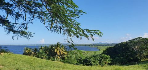 Lagoon View Land te koop, Miches Laguna Beach, een droom voor ontwikkelaars. Het biedt een ononderbroken uitzicht over de adembenemende Miches-lagune, de Nisibon-bergen en de Uvero Alto-hoogten. Dit is de plek waar de kokosnoten letterlijk van de bom...