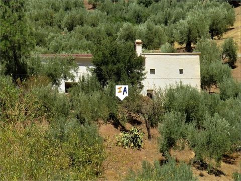 This large 170m2 cortijo is situated in the heart of gorgeous countryside near Fuensanta de Martos in the Jaen province of Andalucia, Spain. What a stunning location it is, mountain views, trickling river, peace and privacy prevail here. We only see ...