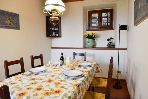 A Cortona è un casale rustico con 5 camere da letto che ospita 9 persone. Dotato di una piscina e una sauna e circondata da splendide colline, questa casa offre una splendida vista dei vigneti circostanti e degli uliveti. È perfetto per le grandi fam...