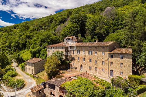 Immersed in the green hills of Lucca in Quaranta, in the splendid hamlet of Cappella, we offer an exclusive real estate complex consisting of two main stone buildings, with wooden ceilings with beams and joists with three small artifacts including an...