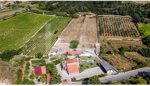 This excellent property for sale 35 minutes from Lisbon and with excellent access to the A10, A1, A8. This farm consists of a house of typology T6 (seven rooms );  barbecue; garage; swimming pool; garden; horse boxes ; riding arena; paddock; kennels ...