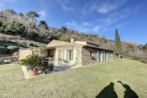 Villa on 1 ha of land with an open view of the hills, this house of approximately 170 m2 with a very beautiful landscaped garden and its swimming pool. The main house includes a living room with wood stove, a library lounge on the mezzanine, an equip...