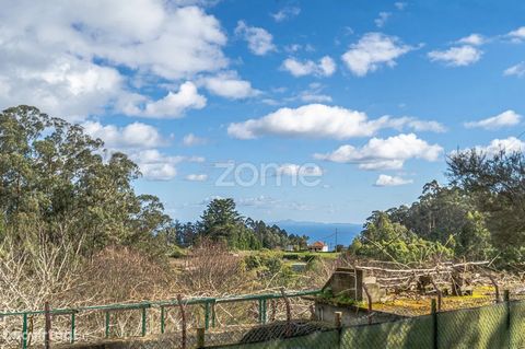 Property ID: ZMPT555170 Flat land located in the municipality of Santana, in the parish of São Jorge. This land has 4530 m2 flat. It has easy access and is situated in a very quiet area. This land has the following parameters to build: - Maximum land...
