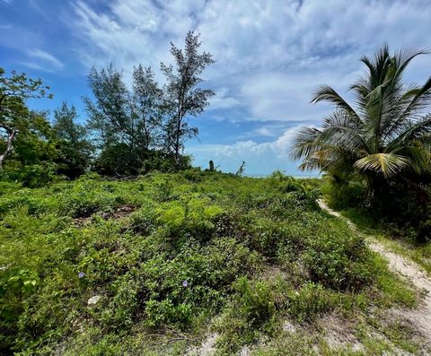 A chance to visit and own an ocean front lot in South Bimini in a short period of time is incredibly unusual. Lot 2 Block 6 is in Port Royale Subdivision, South Bimini and is the perfect blank canvas for your real estate dreams. This property can be ...