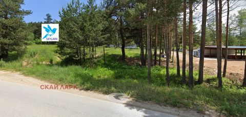 Sky Lark Agency offers a plot of land in the Tsigov Chark area, near the Batak dam. The plot is located in the central part of the resort Tsigov Chark (Zone A). Suitable for both villa construction and commercial. The agency offers for sale and / or ...