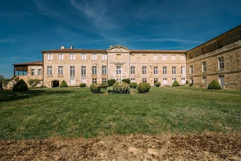 Iconic, grand and spacious 11 bedroom Chateau, located in a quiet setting in Valence sur Baise, which is right in the heart of Gers. A family property since 1803 and showcasing authentic 17th Century Gascon architecture, this superb chateau was origi...
