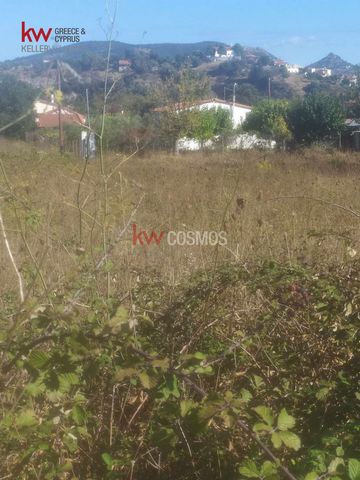 We offer for sale, exclusively from our office, two stunning plots of 680 sqm each, in the idyllic Monodry of the Municipality of Kymi Aliveri. The plots build according to the existing provisions, a residence of 200 sq.m. They are located within the...