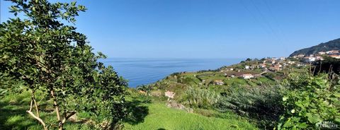 Located in São Vicente. Excellent flat land, with stunning sea views and good sun exposure, ensuring a pleasant and bright environment. Located on the 1st Lombada of Ponta Delgada, without access to a car, but with good pedestrian access. The agricul...