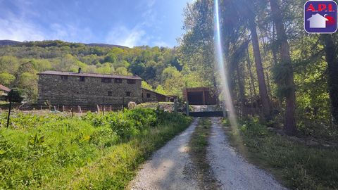 EXCLUSIVELY ! Charming stone house with spacious grounds and outbuildings. Located just ten minutes from Tarascon-sur-Ariege, in a peaceful area, this old renovated farm offers an exceptional living environment. Nestled on a large plot of land of ove...