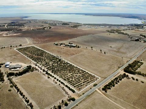 Located on Woodlawn Road, a well established area of Streaky Bay, this generous sized allotment of 4.13ha (approx) is just minutes from the centre of town, local school, sporting complex, hospital, hotel, main street, boat ramp, local jetty and beach...