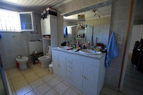 photo no. 13