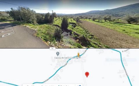 Rustic Land Available For Sale in Zambujal Have your own piece of agricultural paradise with this rustic plot of 2160 m2 located in Zambujal. The perfect place to develop agricultural projects and live in harmony with nature. Terrain Features: Total ...