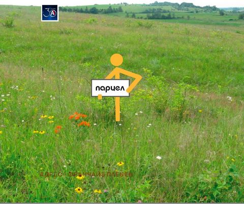 Agency ' Address ' sells an unplotted plot of land - 1250 sq.m. in the village of Zgalevo, located near the park. The plot is flat, facing an asphalt street, without electricity and water lots. For information and viewings ... Assistance for mortgage...