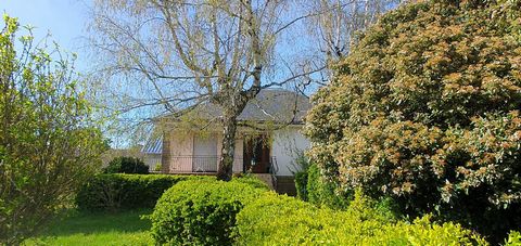 photo no. 24