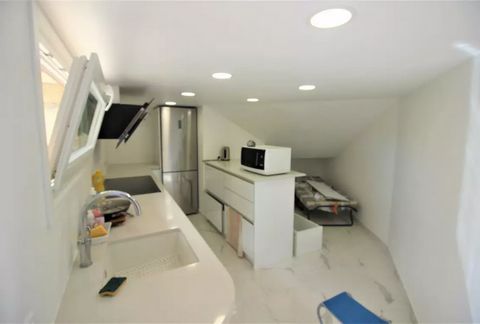 photo no. 11