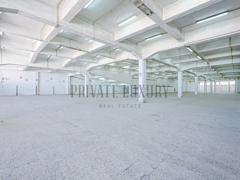 Overview This is your opportunity to rent a 4,400 sqm warehouse and transform it into a vibrant and dynamic office space. Located in the growing neighborhood of Braca da Prata, this property offers a unique chance to create a modern, light-filled wor...