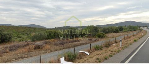 Property of 4300m² with Olive and Carob Trees, Excellent Access and Countryside Views. This rustic land, located south of São Brás de Alportel, has a total area of 4300m². The property is rich in arable culture and is adorned with rainfed trees chara...