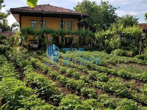 Top Estate Real Estate bietet Ihnen ein zweistöckiges Haus in Sofia. Zlataritsa, 25 km von der Stadt Zlataritsa entfernt. Veliko Tarnovo, 15 km von der Stadt Veliko Tarnovo entfernt. Elena und ist berühmt für seine herrliche Natur, frische Luft und f...