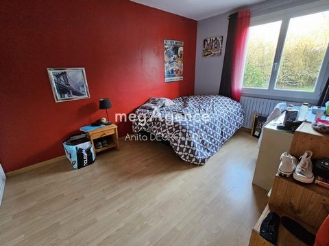 photo no. 8