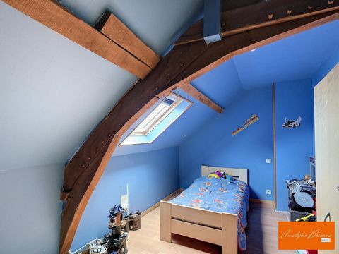 photo no. 12