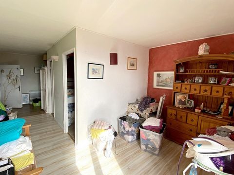 photo no. 4