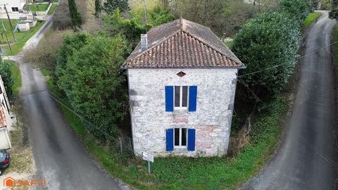 photo no. 15