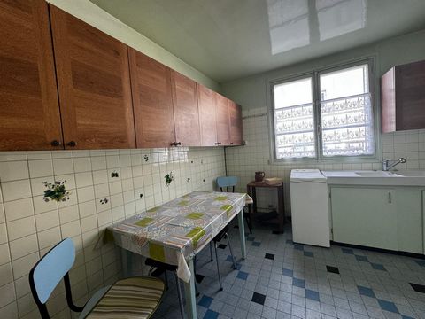 photo no. 8