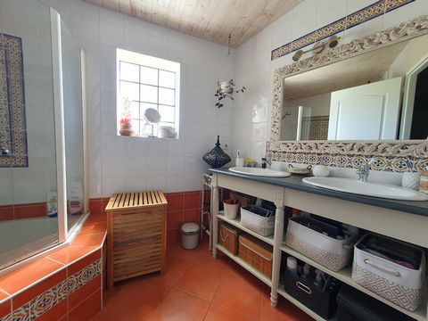 photo no. 9