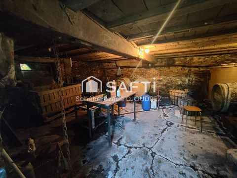 photo no. 15