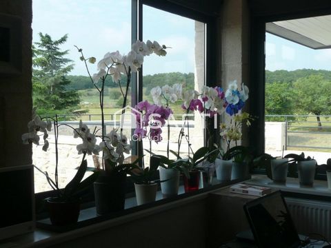 photo no. 8