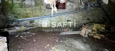 photo no. 13