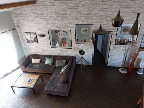 photo no. 6