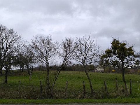 photo no. 2