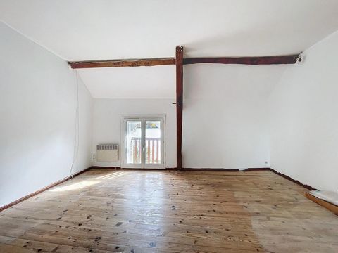 photo no. 6
