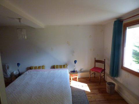 photo no. 8
