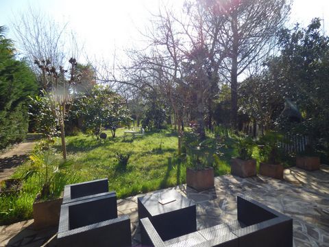 photo no. 15