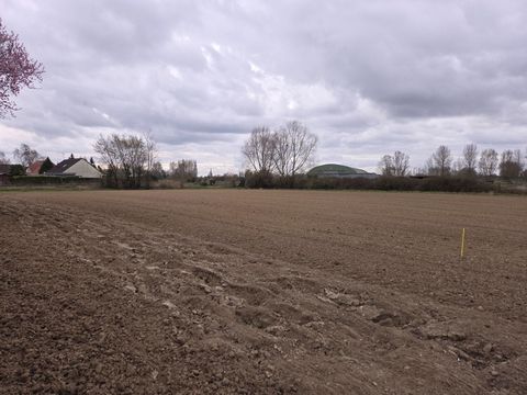 photo no. 1