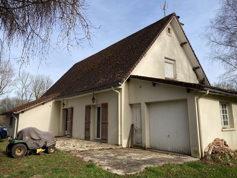 photo no. 16