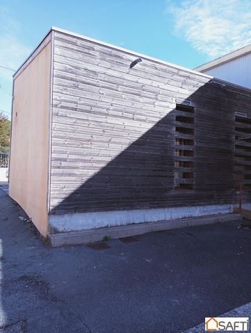 photo no. 5