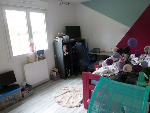 photo no. 8