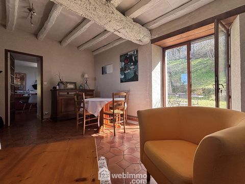 photo no. 12