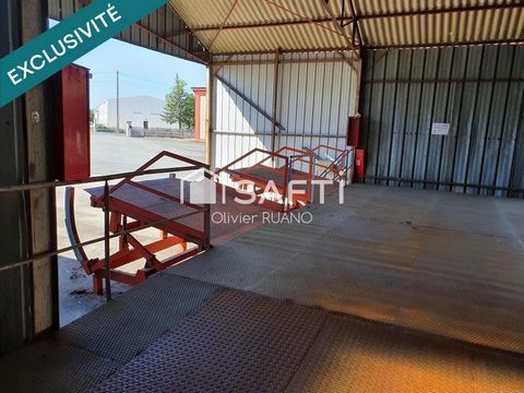 photo no. 15