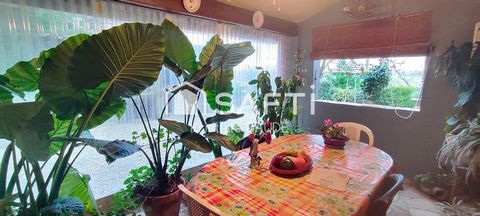 photo no. 11