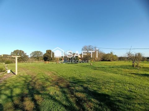 photo no. 10