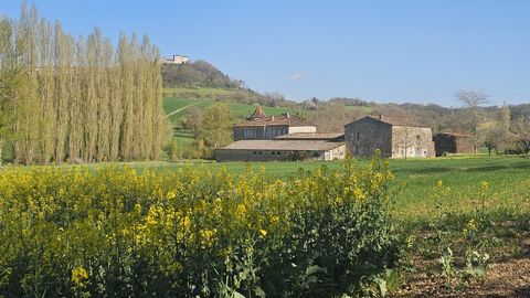 photo no. 13