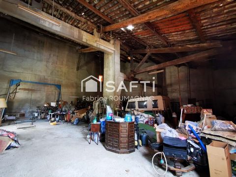 photo no. 9