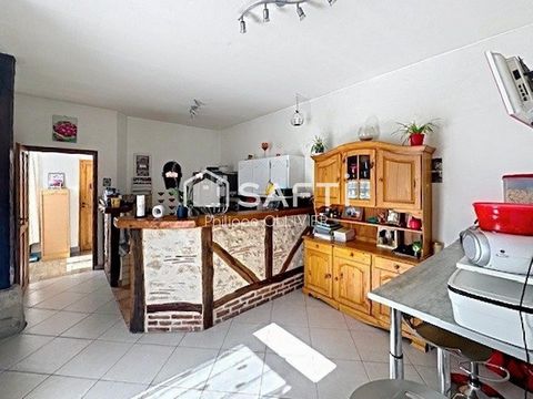 photo no. 6